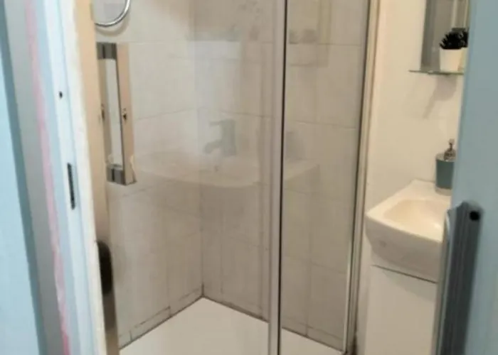 Cocconcelli Dodici *